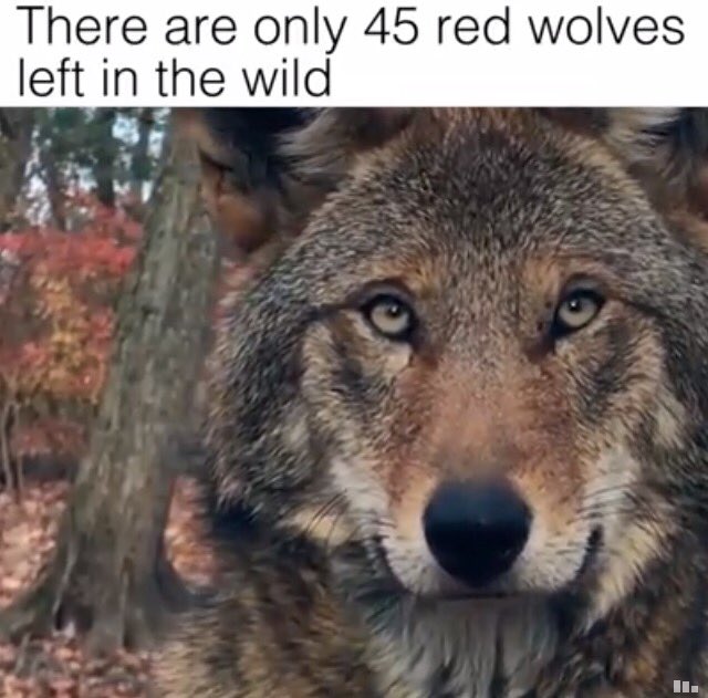 Matthew John Taylor tweet media