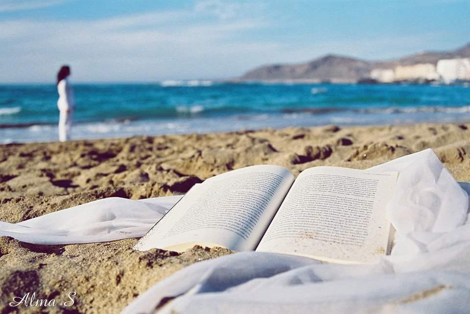 отдыхает на пляже. читать отдых на море. книга на берегу моря. девушка с ноутбуком на море. чтение на пляже.