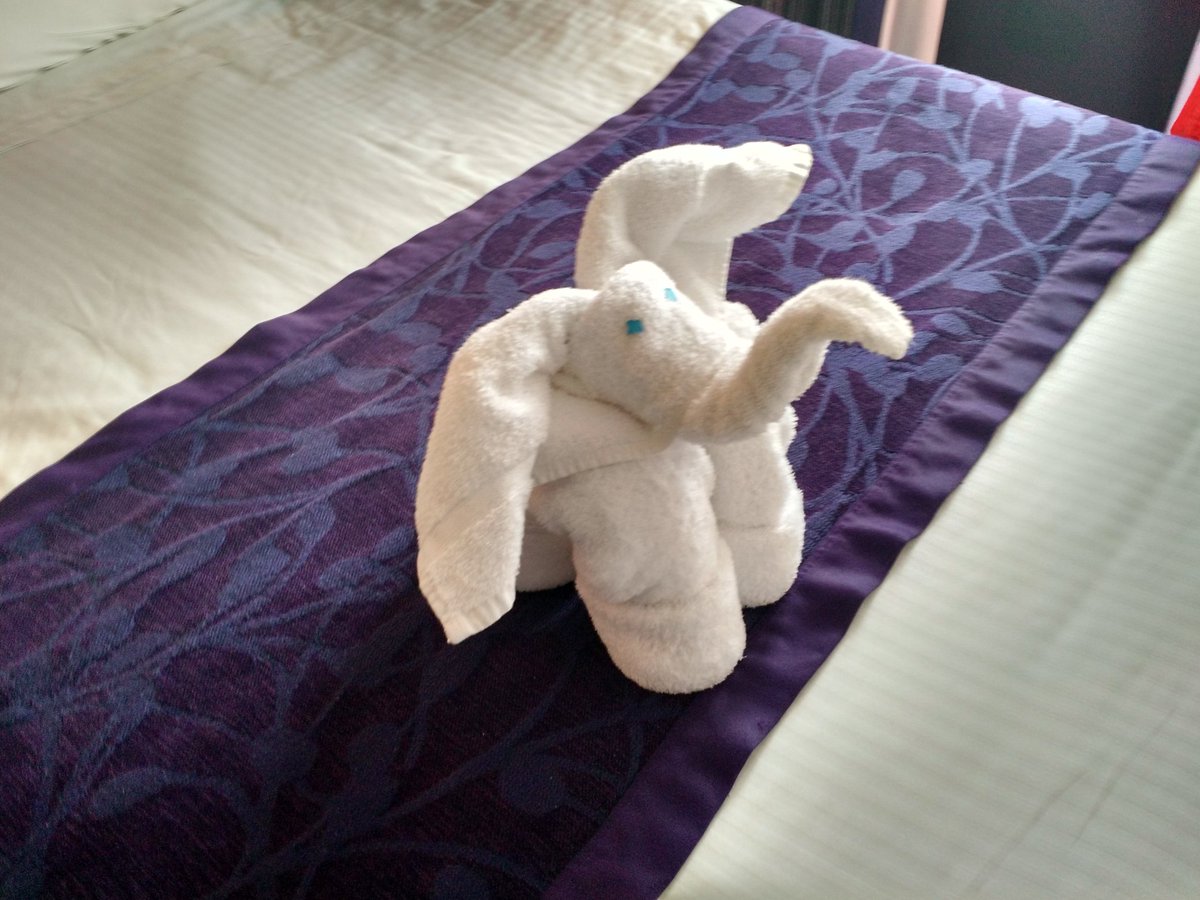 badjin_rank's tweet image. This little guy welcomed us back from St Petersburg. #Oliphaunt
