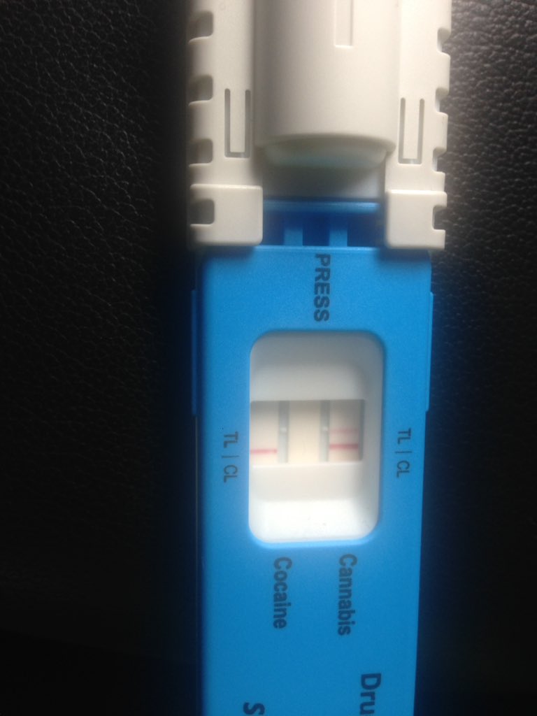 NSRAPT's tweet photo. Driver reported for no Ins/Mot in Wells #Seized #Sec165 Then provided positive drug wipe for cannabis #Fatal4 #OpCosmos 1694/7007 https://t.co/HniRq09nXp