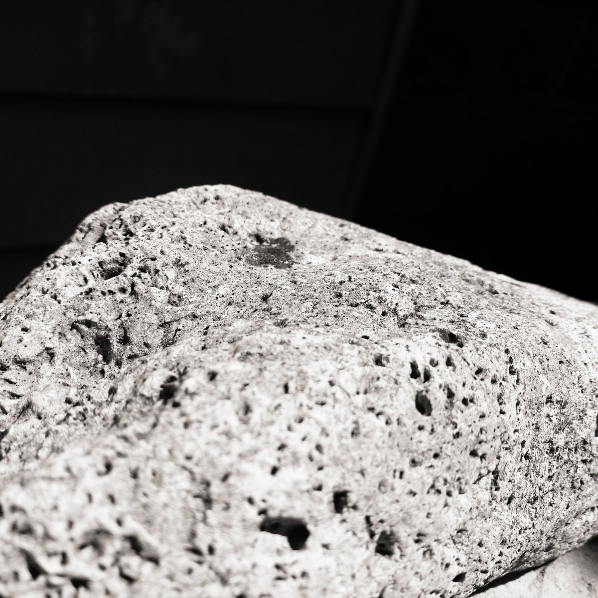 JuliaM987's tweet photo. Maybe my phone does take good photos. π
βͺ
βͺ
#LGStylo2 #PhonePhotography #blackandwhitephotography https://t.co/xr1Sl04VQV
