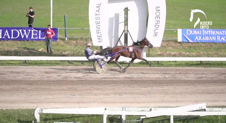 _kirstenelise's tweet photo. NEW TRACK RECORD! Goofy Greenwood (Russel November) just won the sprint championships for 4yo's @StudioDuindigt! 1'12'3 / 1609m !!! https://t.co/A7mVQh2ebr