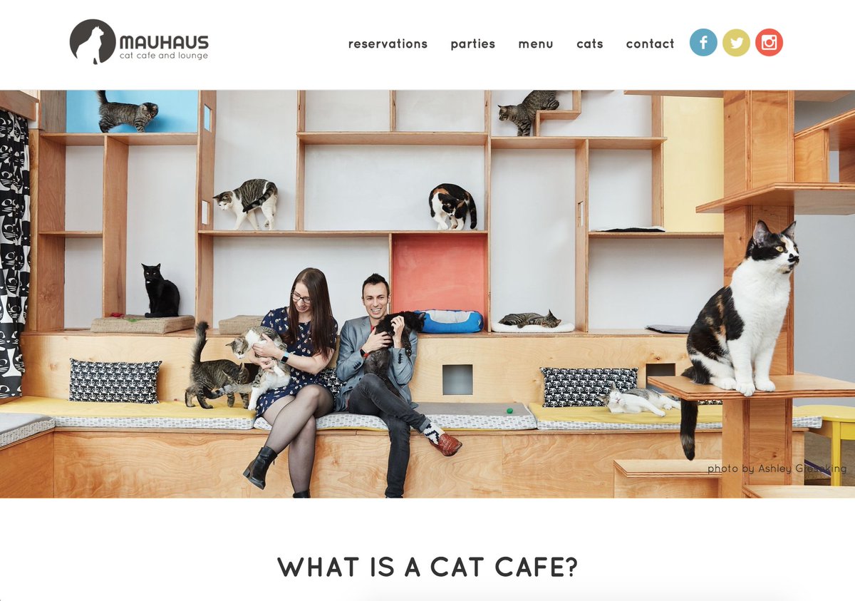 Rampant Interactive tweet media