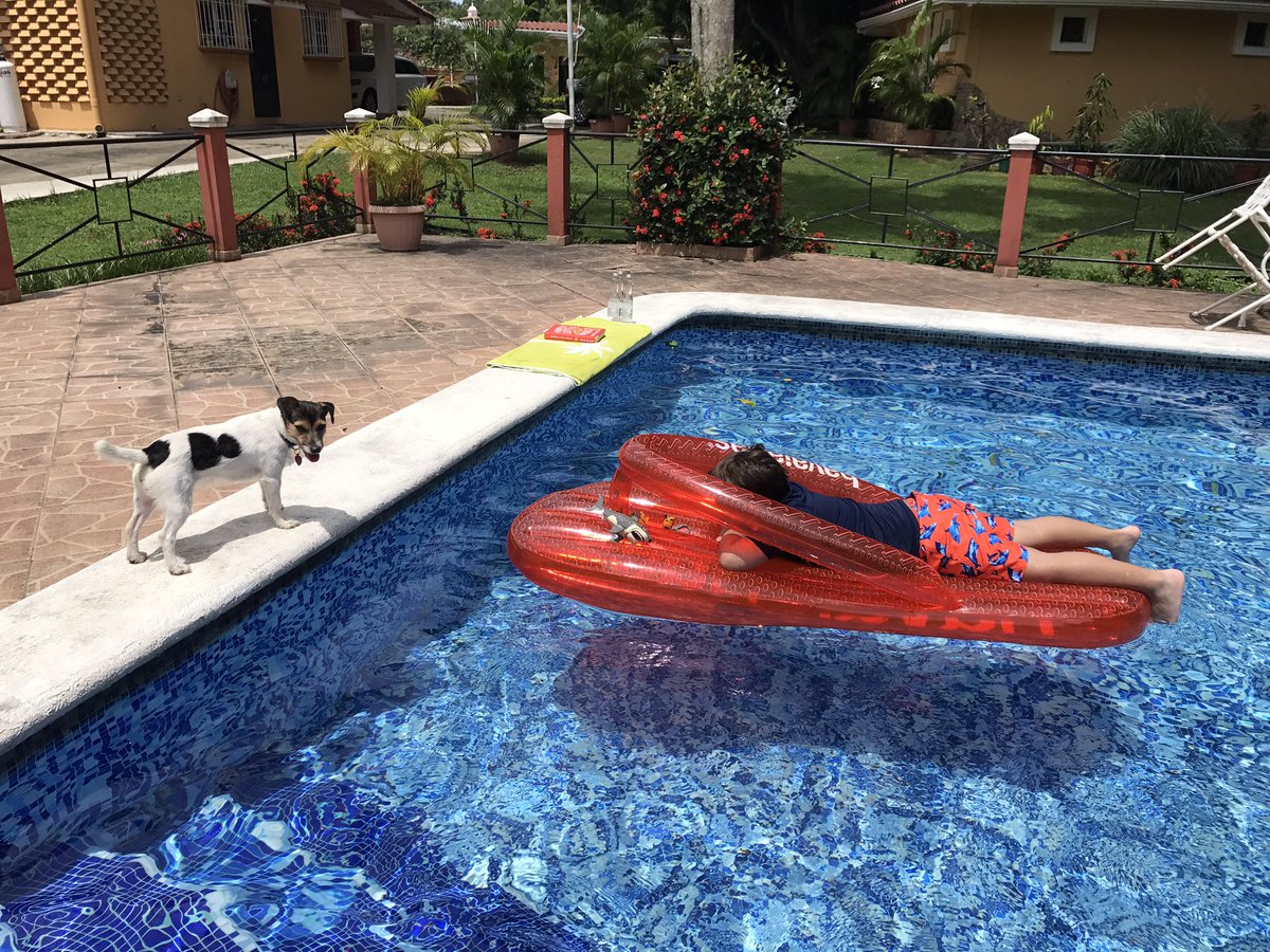 HeidiArias's tweet photo. #poolmode #havaianas https://t.co/b3v4ALrw0O