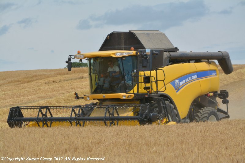 sgcaseyck25's tweet photo. #harvest17 really shifted into gear this morning, some highly very impressive crops out there, plenty of dust rising #keepthetrailerscoming https://t.co/FHJPQy7R88