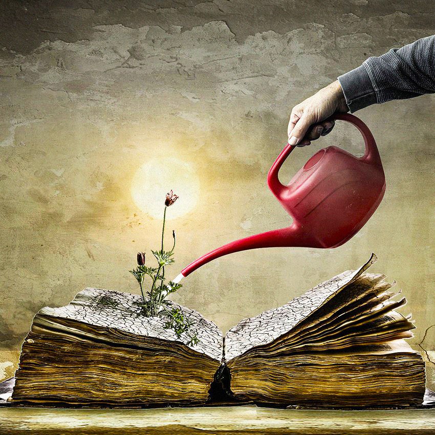 Питайте свою любовь к книгам.