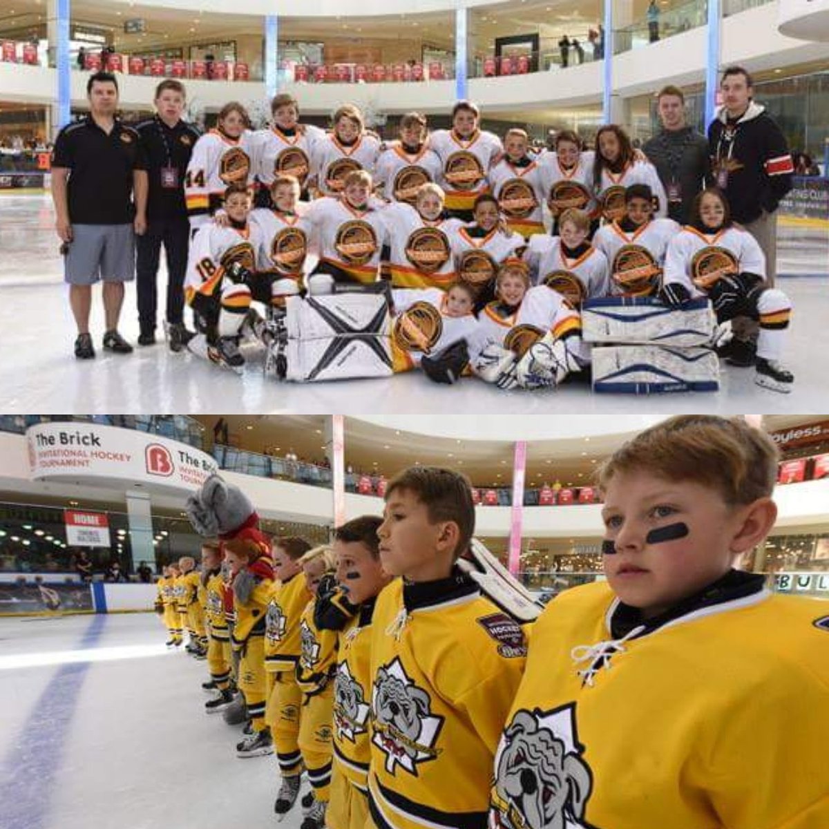 brickhockey's tweet photo. The 2017 Brick Cup final is at 12:30 today, featuring @BCJRCanucksBric and @TBulldogsHockey watch live from https://t.co/7lOqSLPtRD https://t.co/JfupxwpRWf