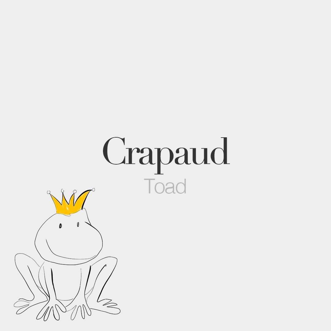 JuanVertizxx's tweet photo. Crapaud (masculine word) • Toad • /kʁa.po/ #frenchwords https://t.co/JSx7cqxBGS