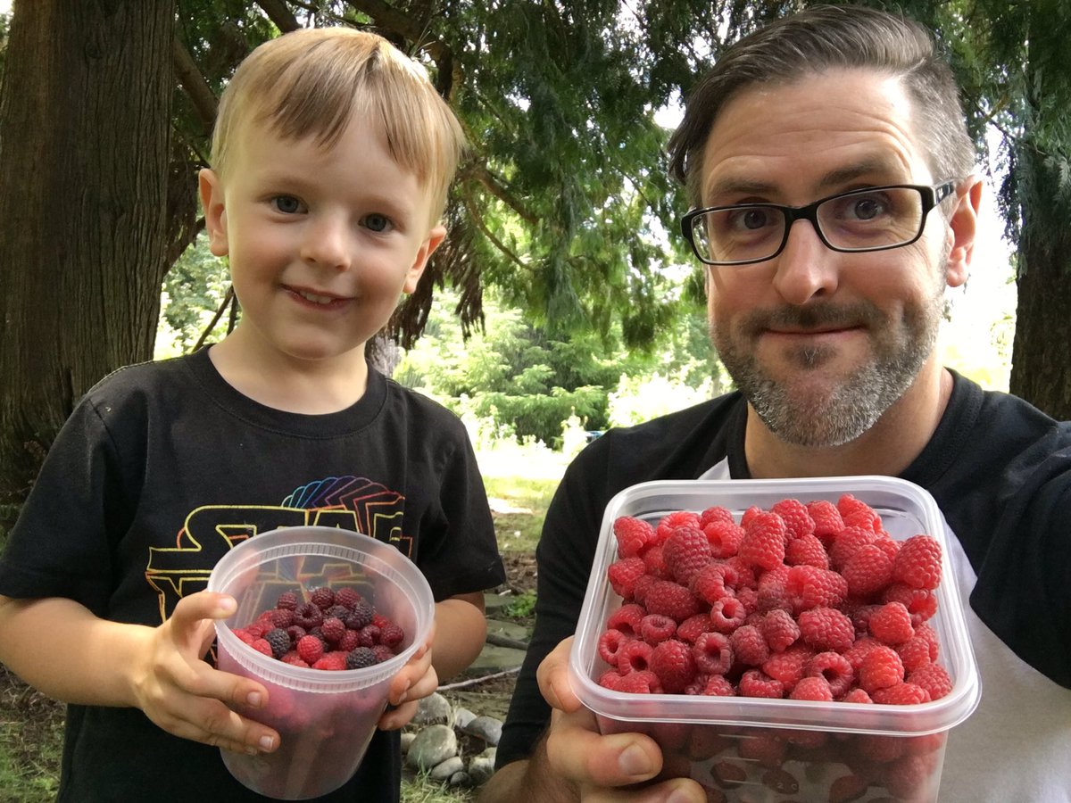 jasonsaura's tweet photo. Not a bad haul from our backyard today. #pnwbounty #raspberries #heatemorethanhepicked https://t.co/Ccz9XJJsWF