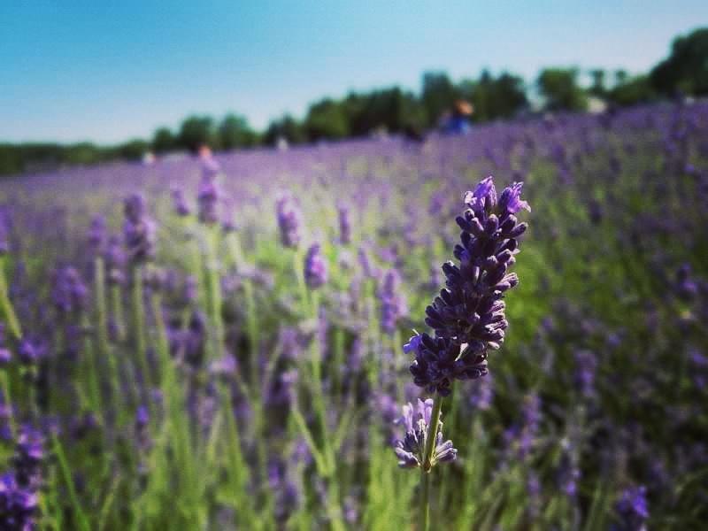 North Fork Gift tweet media