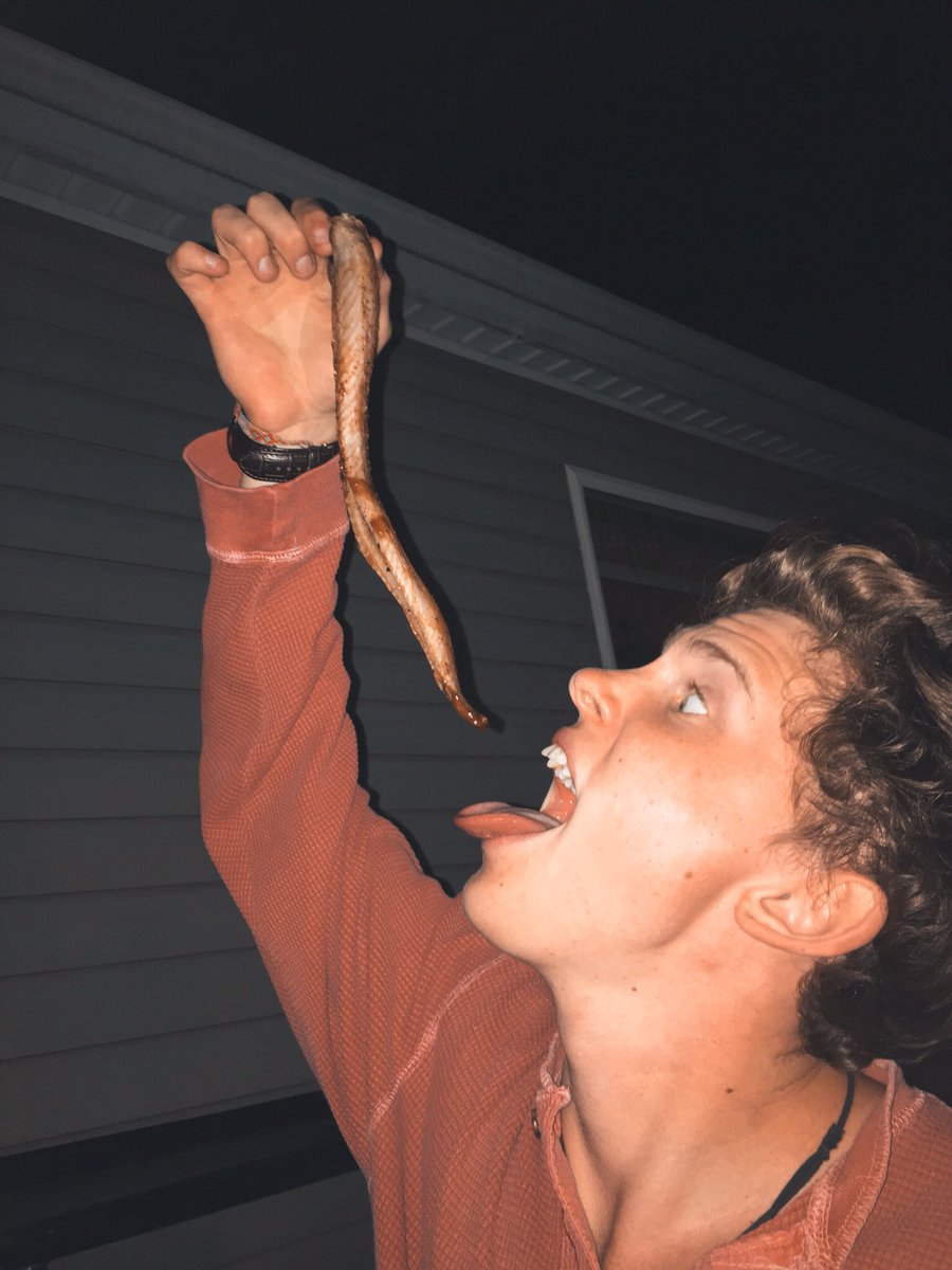 LeviJones's tweet image. ate a rattlesnake last night 🐍

getting ready for @NakedAndAfraid