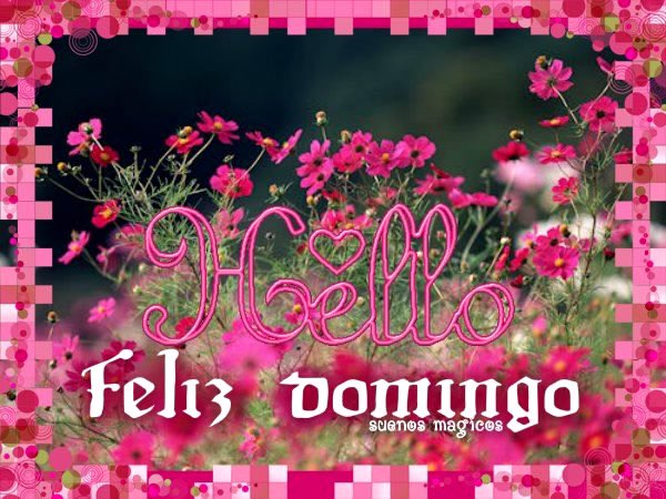 ZagoZago3's tweet photo. @MarcelaRocha_25 @ElieBautista @Fitness_enlinea @Ap42Lita @MeryLoto @marizago5 @virgyane @chichovip7 #Feliz tardes
#1As393
#SeguimeYTeSigo
@ElieBautista @ZagoZago3 @Fitness_enlinea @Ap42Lita @MeryLoto @marizago5 @virgyane @chichovip7 https://t.co/i081I1qKlK