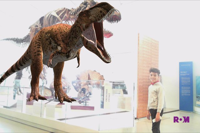 KidsUpFrontTO's tweet photo. We’ve got over 500 children, youth and families lined up to attend the @ROMtoronto this month! #CommunityAccessNetwork https://t.co/iApIrzwb0c