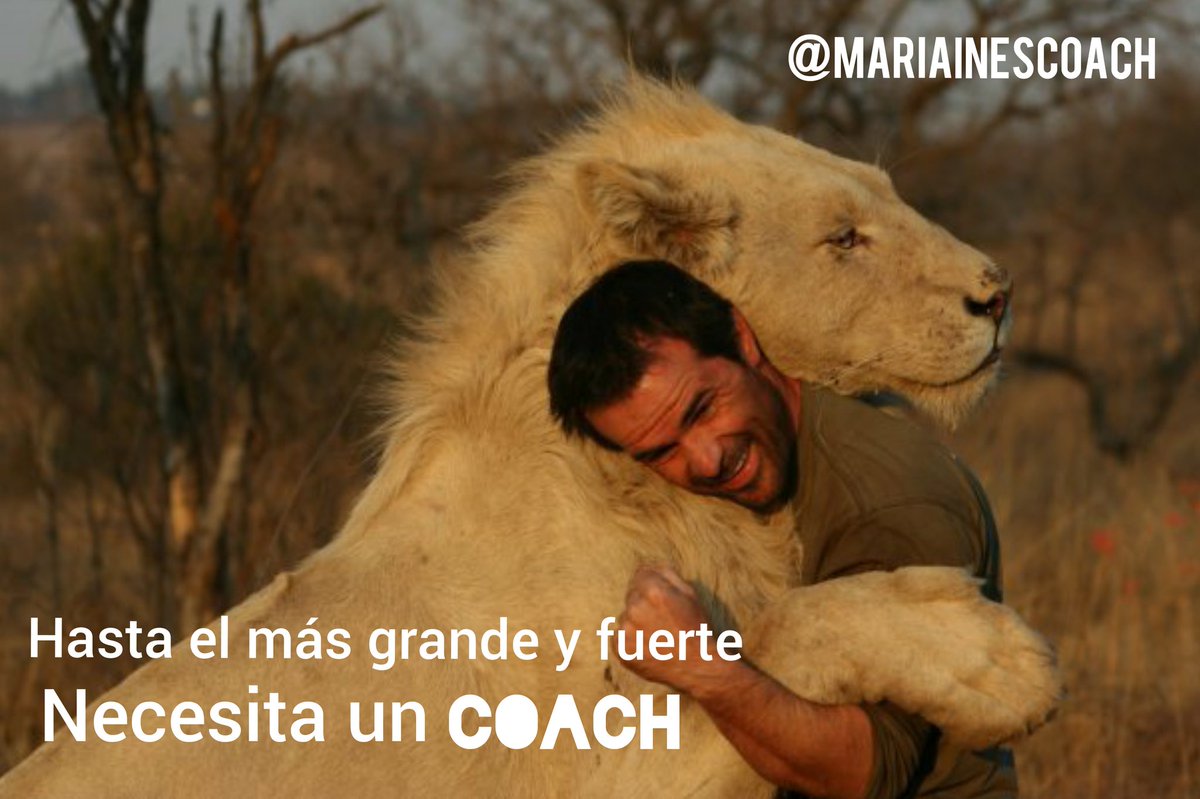 MariaInesCoach's tweet image. Un COACH es un compañero para lograr tus sueños, estamos para ayudarte a encontrar el camino y escucharte cuando lo necesites.