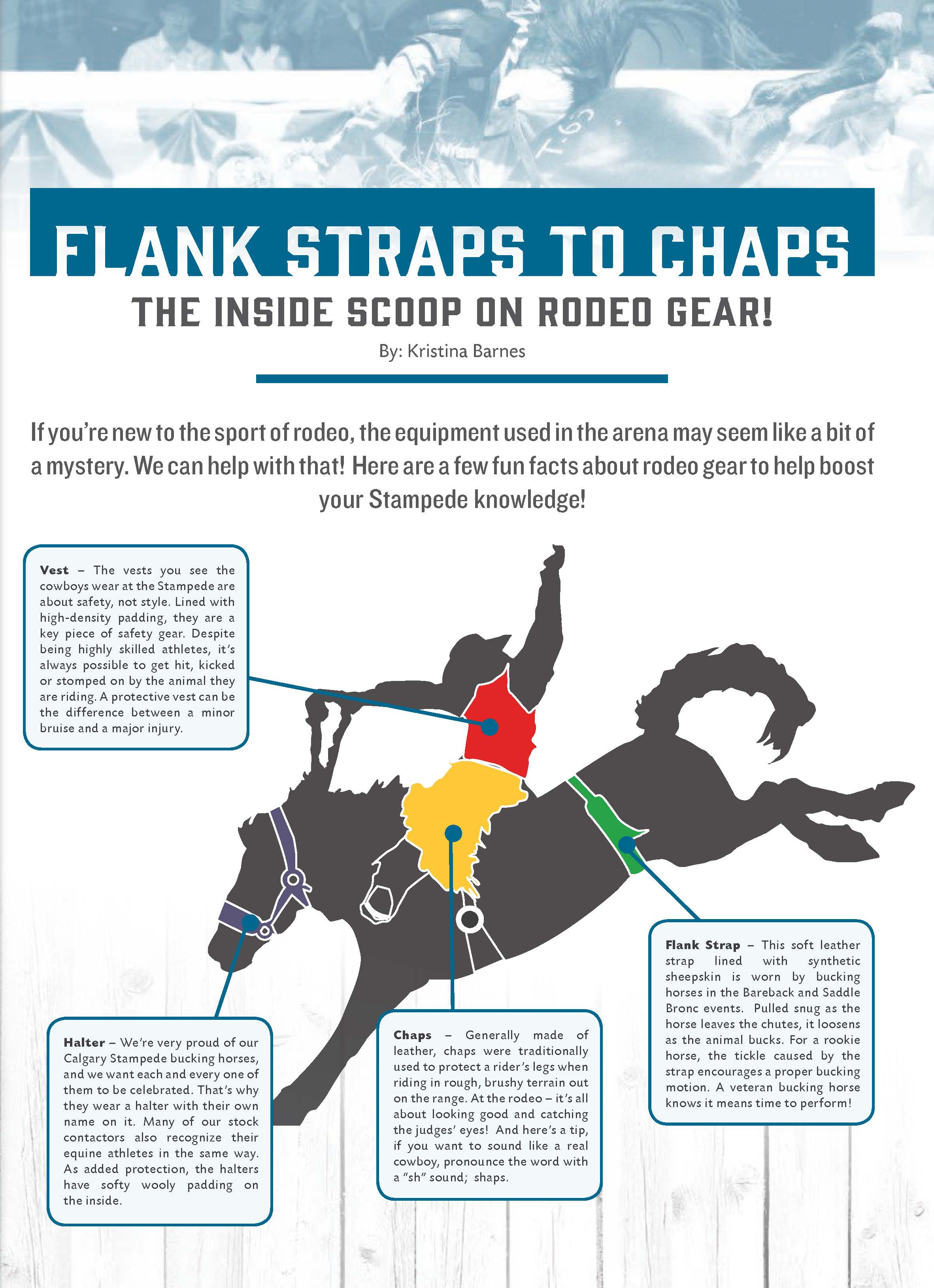 Calgary Stampede on X: Not so sure what a flank strap is, or what it does?  Now you know.  / X