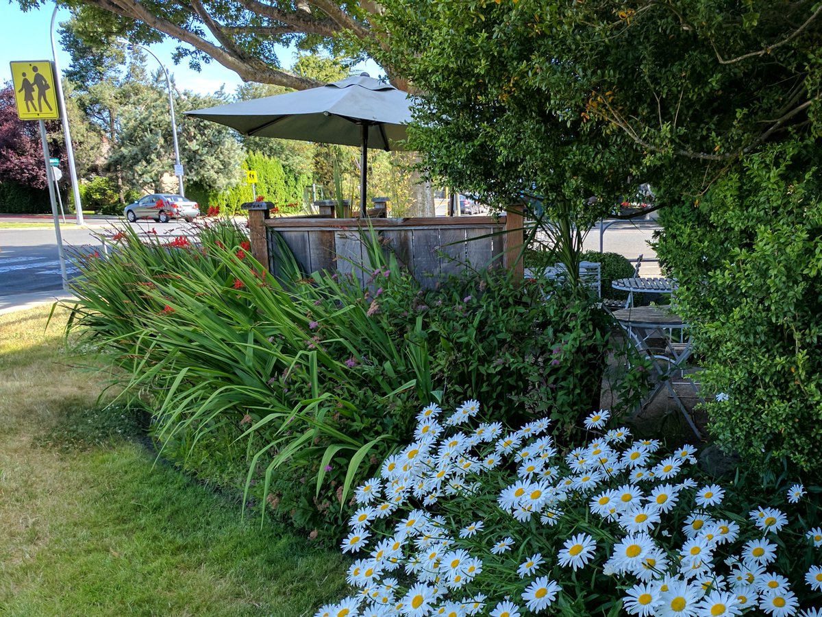 Hands-down the prettiest place in #OakBay today for an iced latte is <a href="/Crumsbys/">Crumsby's Cafe</a> patio. Join us here till 4 today!