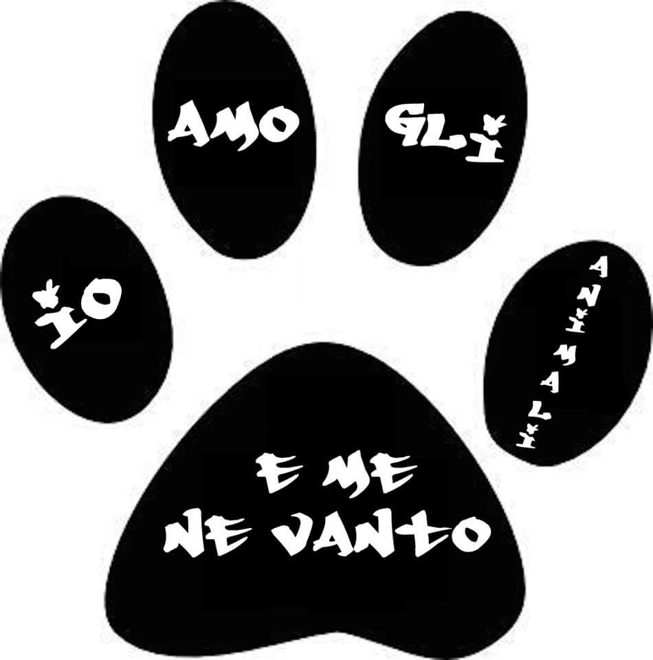 sangesnicola's tweet photo. Notte carissime/i e buona settimana a tutti!!🌙🌙⭐⭐ https://t.co/sQDBOQqx67