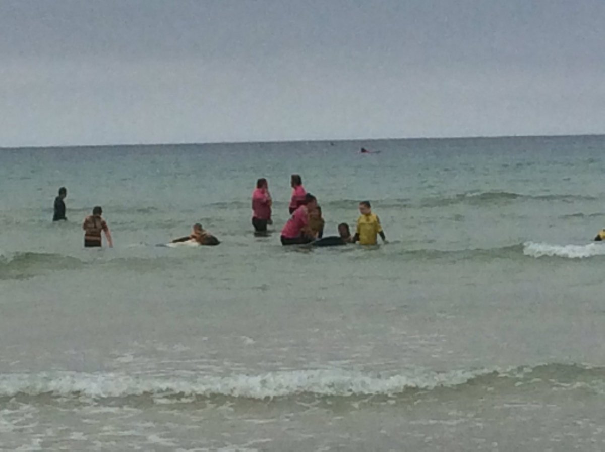 Treverbyn Year 5 tweet media