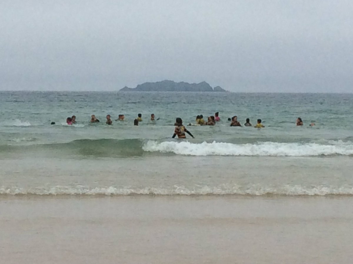 Treverbyn Year 5 tweet media