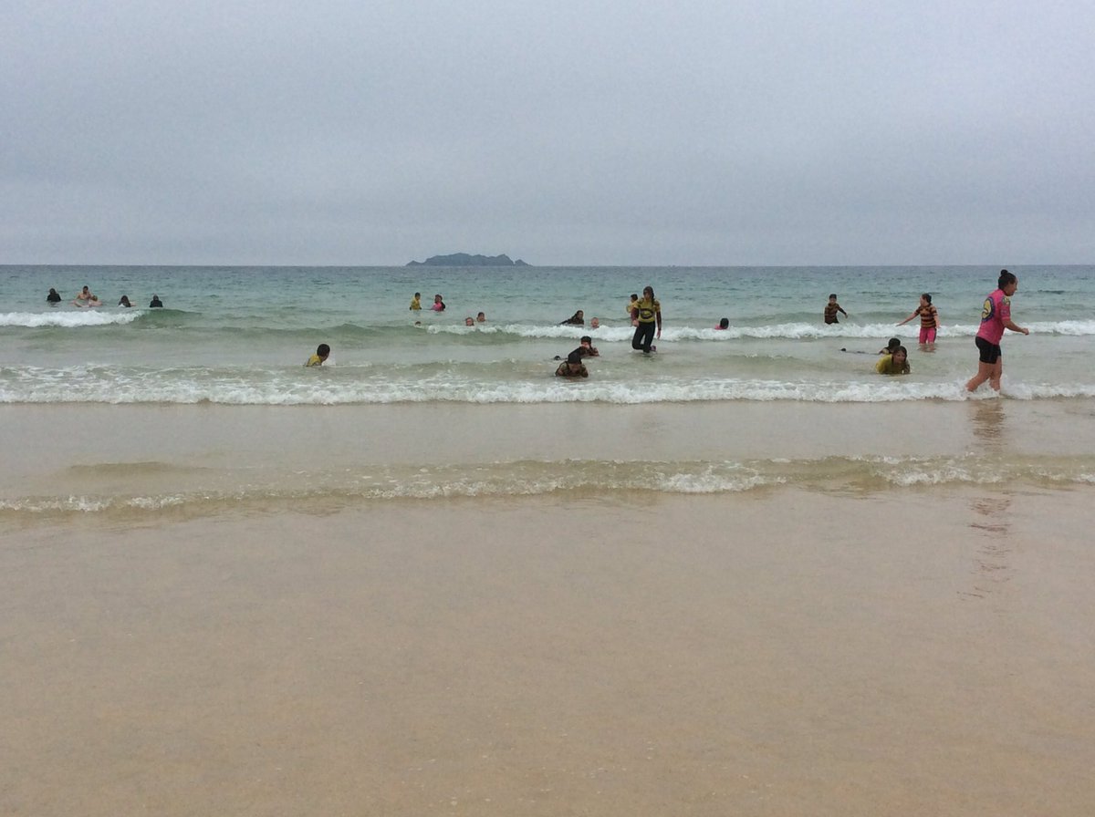 Treverbyn Year 5 tweet media