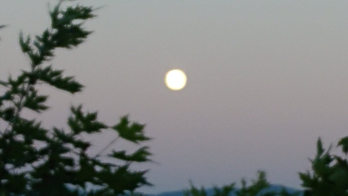 nurgul yakut (@nuryakut76) on Twitter photo 