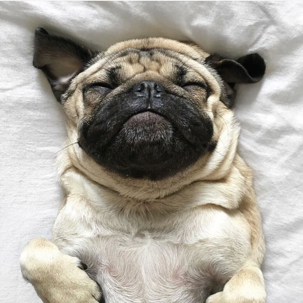 GetNesting's tweet image. Just a few more seconds, Monday.. 😴 #getnesting ift.tt/2u1eW7C