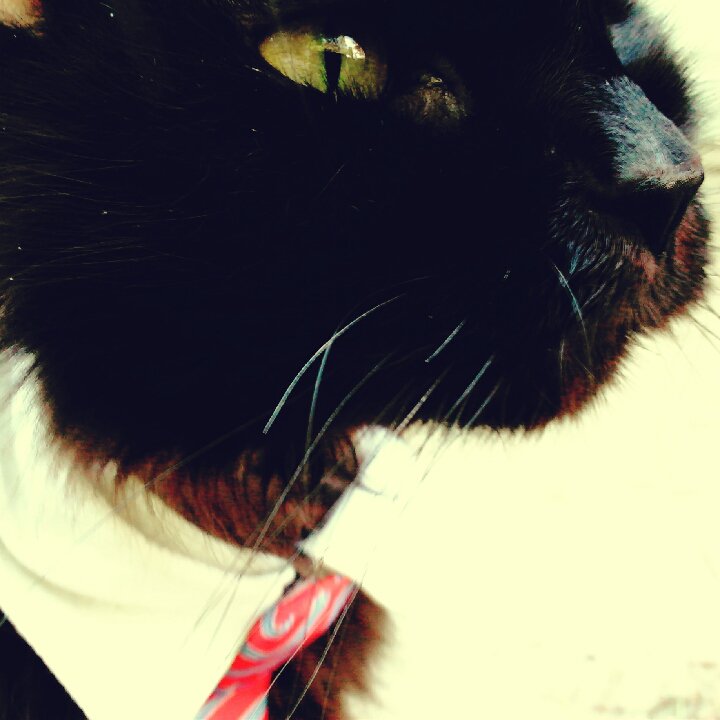 SaveBitters's tweet image. Top retweeters this week, @dsdr2011 @MrSpaceshipHead: Thank you :) &amp;gt;&amp;gt; Want this 🆓? commun.it/grow-your-foll…