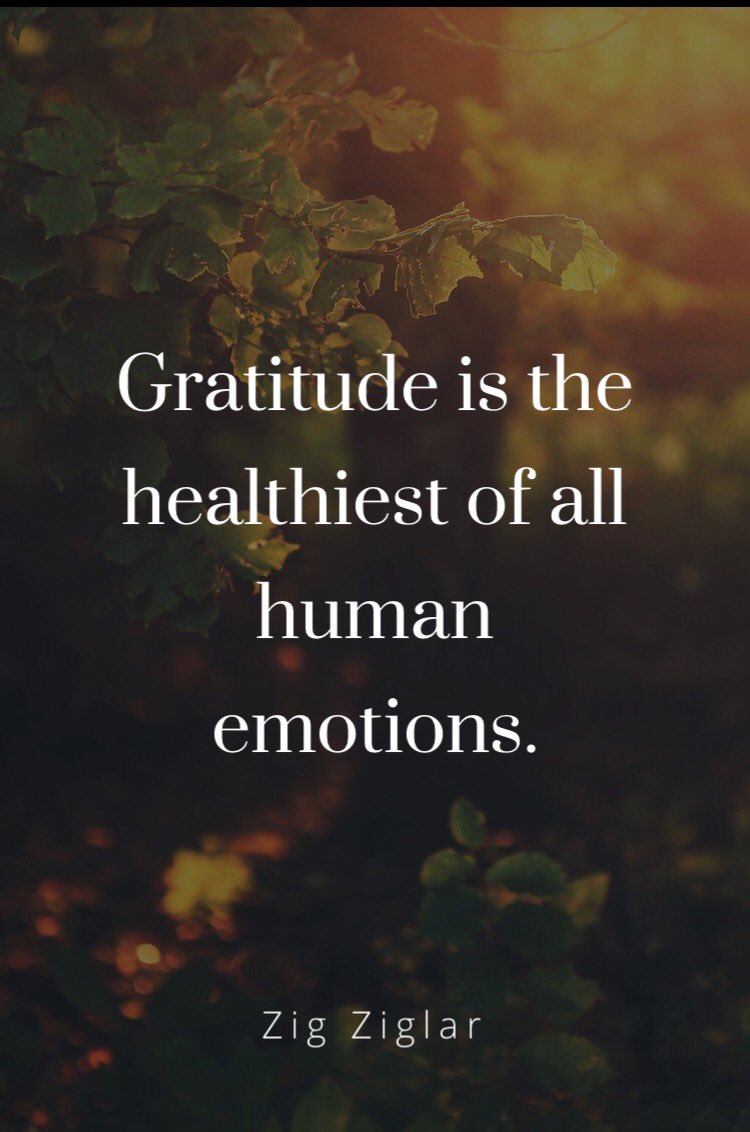 "The more you express gratitude for what you have, the more likely you will have even more to express gratitude for" #ZigZiglar #grateful