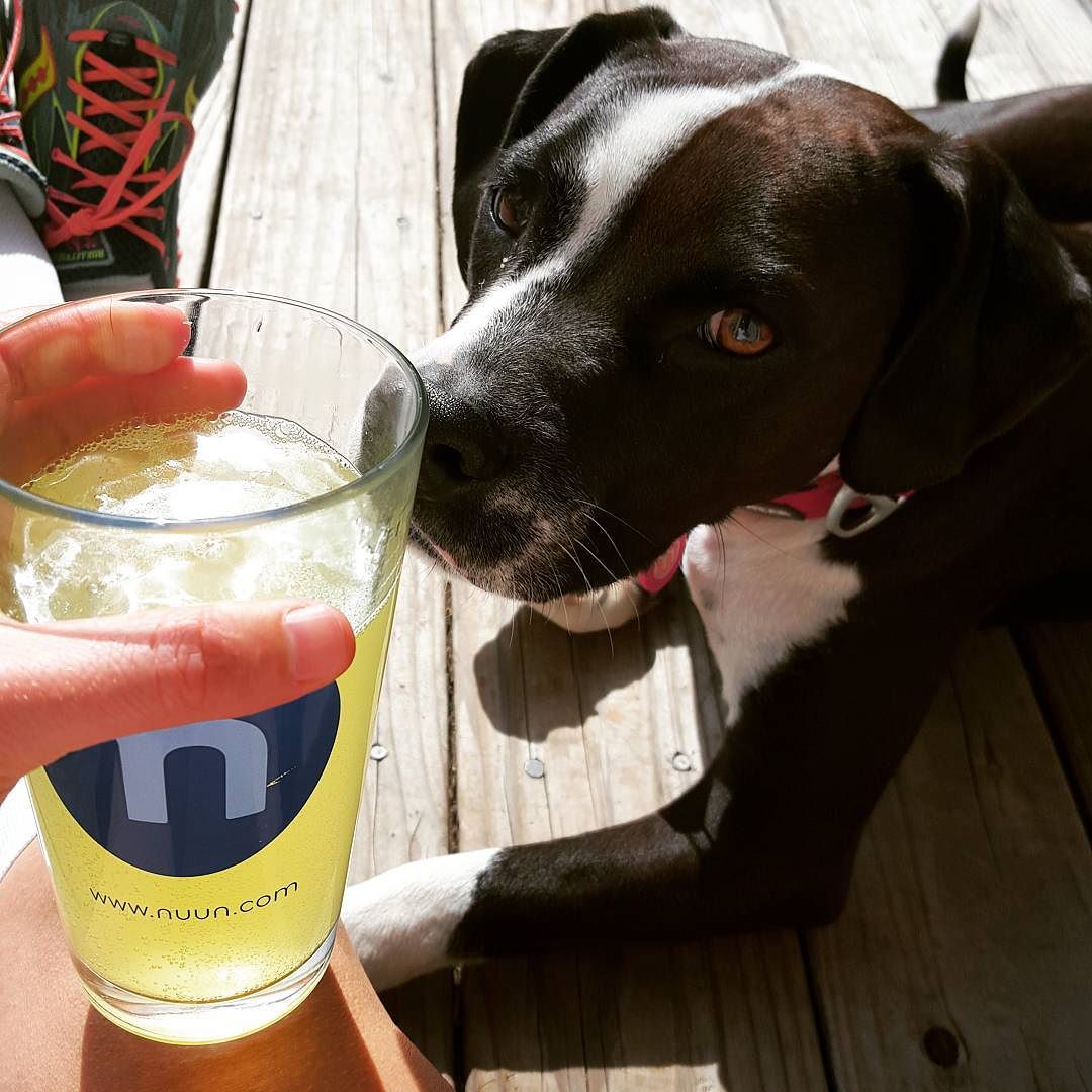 nuunhydration's tweet image. did you know your nuun will dissolve faster if you wait to add ice after after the tab is dissolved? #science