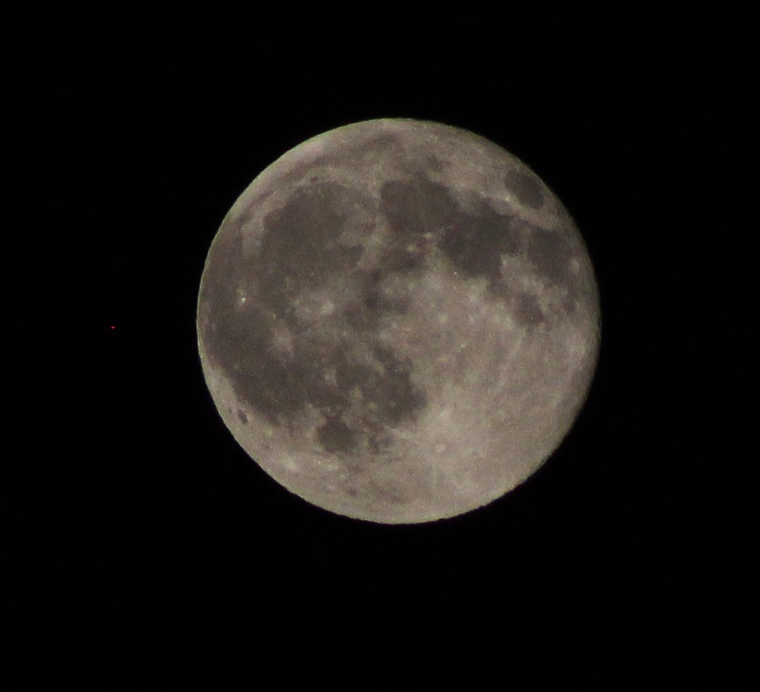 María Eugenia Pérez. tweet media