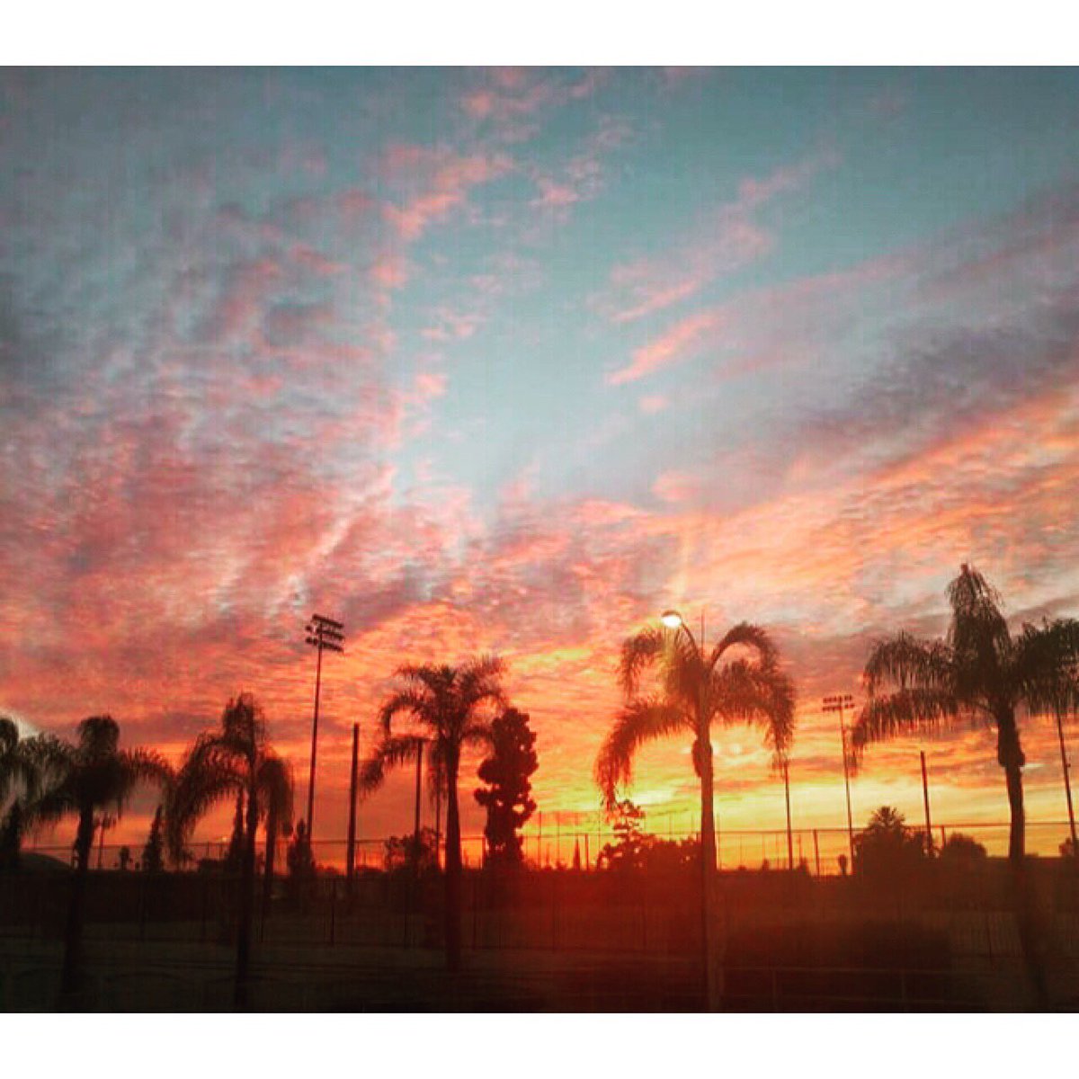 TwoSaucyBroads's tweet photo. #Sunsets at Saucy's.🌴🌅🌴
#summertime
#summer at #saucys #sunset #tsb #pizza #oc #fullerton #iloveyou like #pizzaandbeer #socal https://t.co/NtVLFJ5pZu