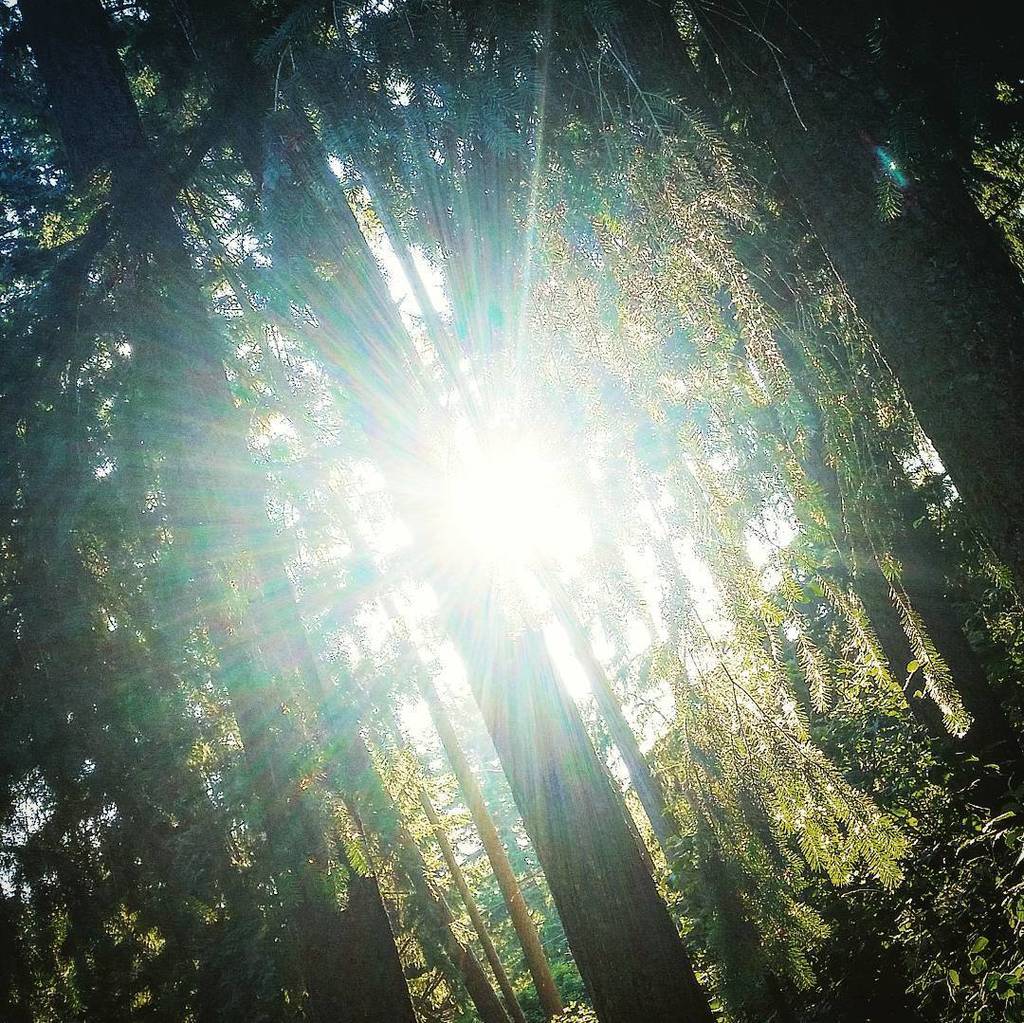 SeaTacInc's tweet photo. #sunburn somewhere outside the #emeraldcity ... #notamoon #seatacinc https://t.co/4uEiLWMeLo