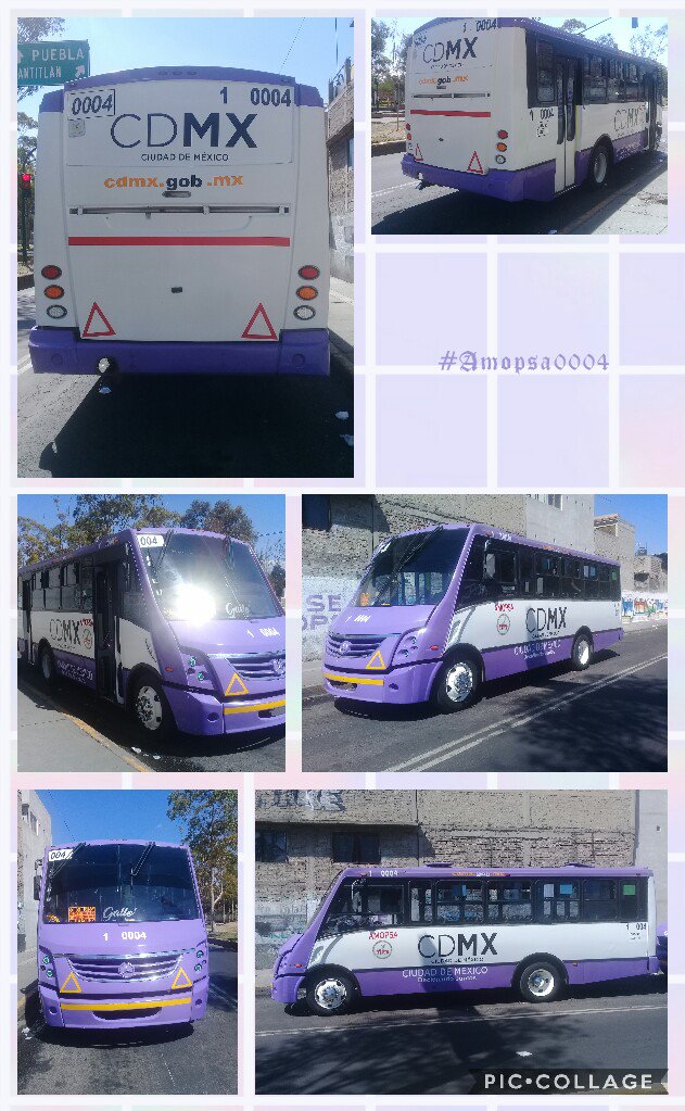 CanalMovilBus's tweet photo. #AutobusesAmopsa te lleva a #PescaderiaSolache @ELISOLHA en #CentralAbastosCDMX #OrienteCDMX #CDMX #Pescaderias #Amopsa0004 https://t.co/zDqTaHERvF