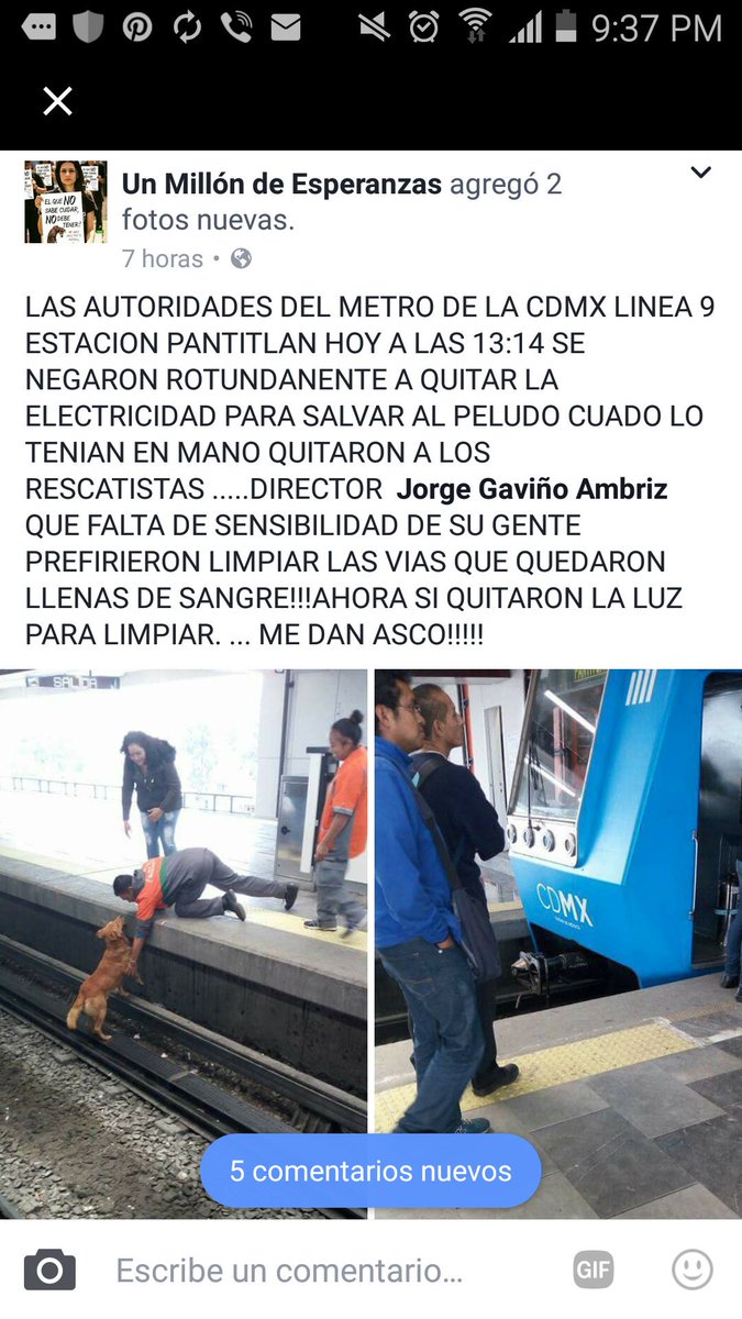 mtz_tt's tweet photo. Que infelices la linea 9 del metro estación #Pantitlan al negarse a quitar la electricidad para salvar la vida de este perrito y matarlo !! https://t.co/7CKWVmc8aK