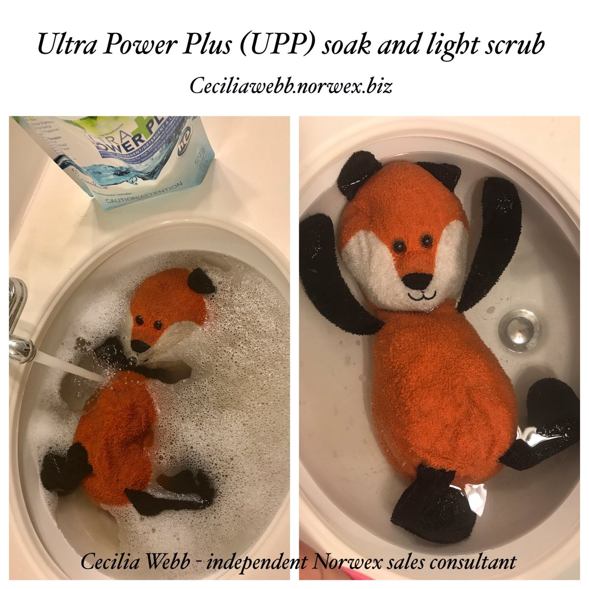 CcCleansWithWtr's tweet photo. 🦊 is getting a #Norwex bath 🛀 after our road trip! Many dirty floors, dirty benches and chairs, the Bart, Chester the dog, and some meals. https://t.co/xVFhvfD14l