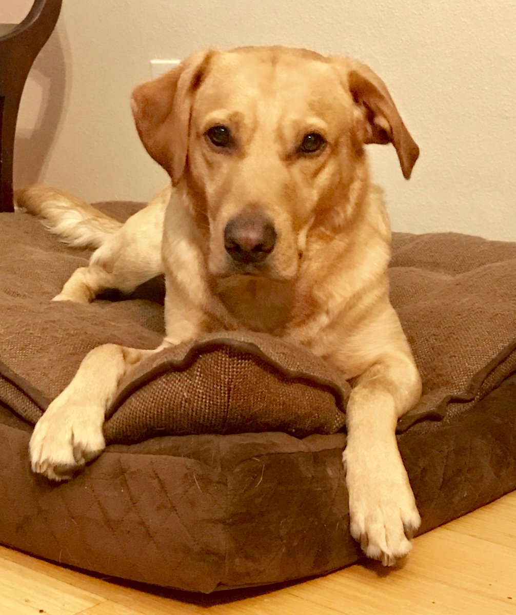 Timber says, hope all y’all have a great week ahead!!!