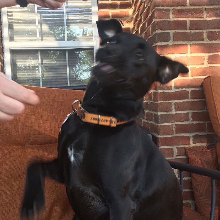 𝕒𝕧𝕖𝕣𝕪 tweet media