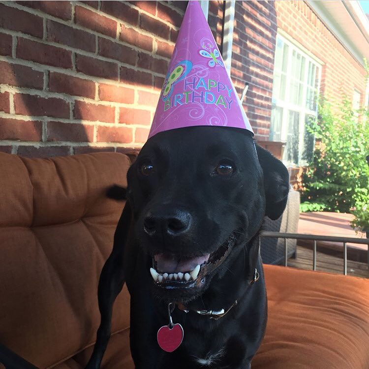 𝕒𝕧𝕖𝕣𝕪 tweet media