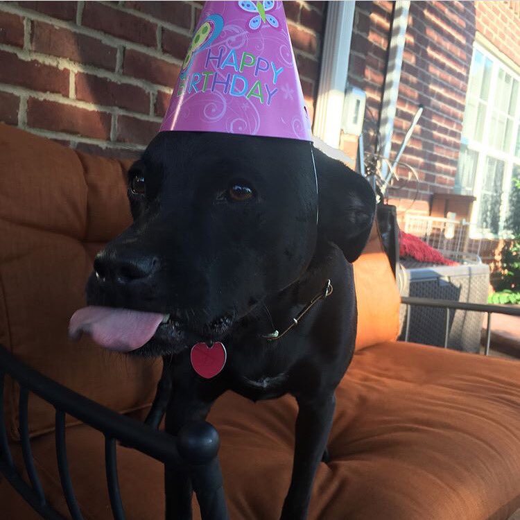 𝕒𝕧𝕖𝕣𝕪 tweet media