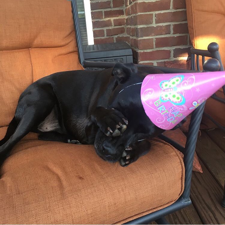 𝕒𝕧𝕖𝕣𝕪 tweet media