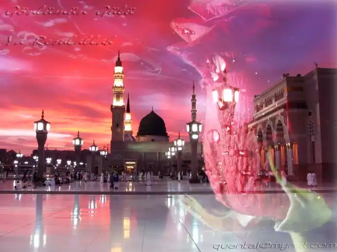 Yolumuz İslam (@huzurislamda34) on Twitter photo 
