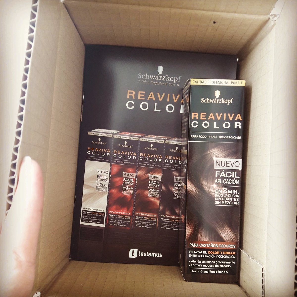 ivare_e's tweet photo. Hace días recibía para probar reaviva color!elegí el color castaño oscuro!formato muy práctico
#ReavivaColor #AliadosColoraciónSchwarzkopf https://t.co/3oEgggbKJ7