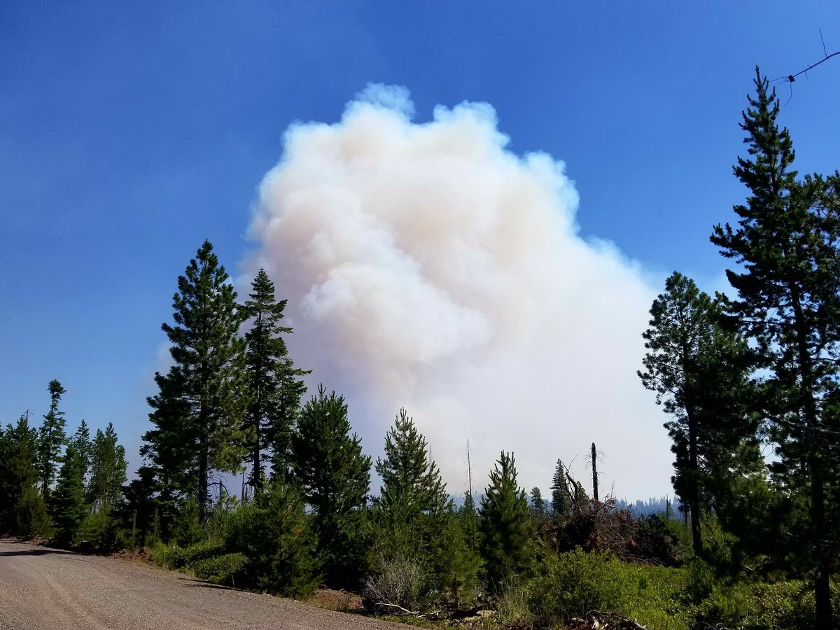 scofmpfireinfo's tweet photo. #AnaFire has grown to 2000+ acres and HWY 31 is closed. 

More info: https://t.co/5akjJnNEkw https://t.co/ksYgkMZFGn