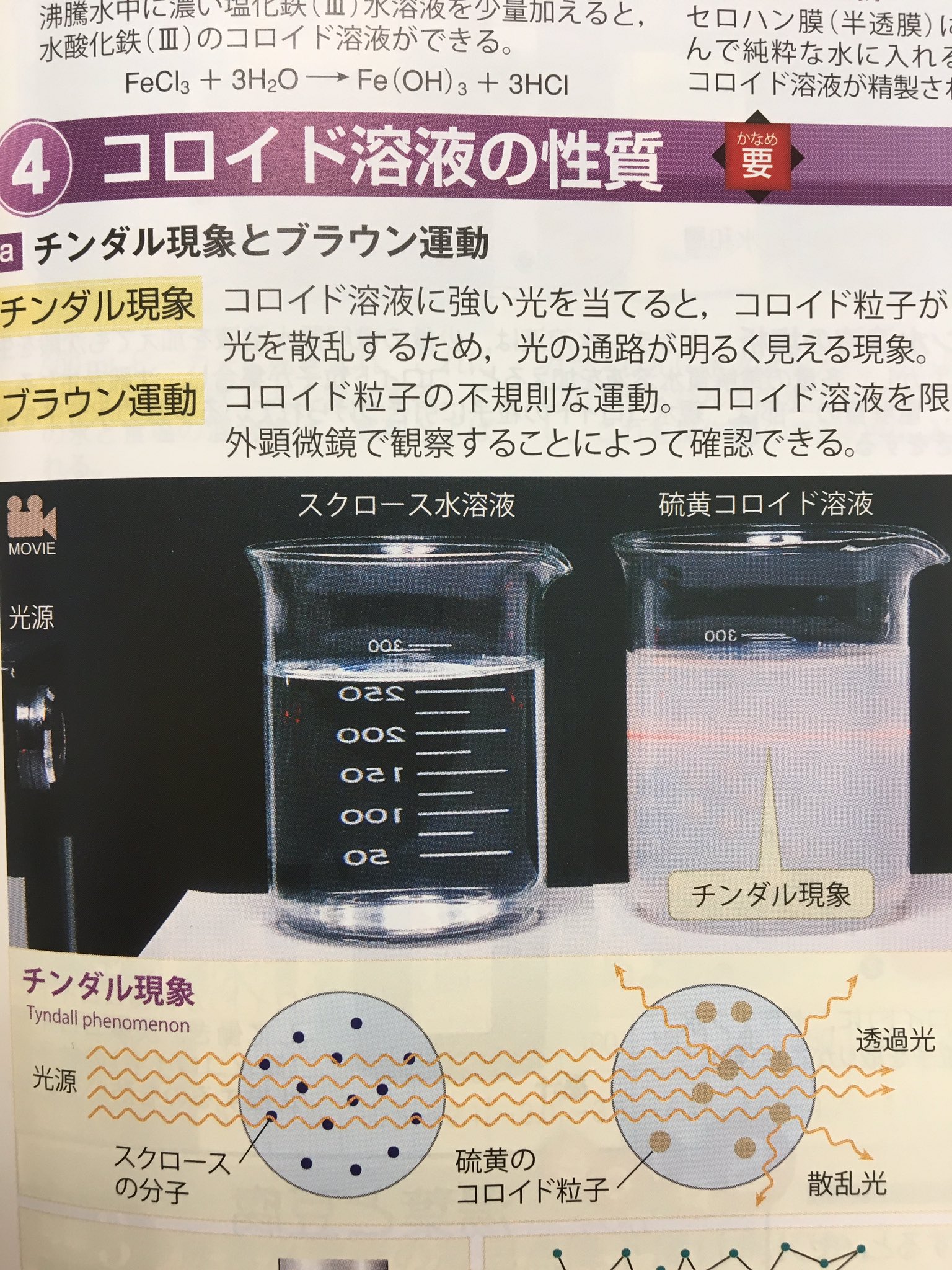 تويتر ミィ على تويتر 9zegk 池照お兄さんwチンダル現象w T Co Huzdhi5who تويتر ミィ على تويتر 9zegk 池照お兄さんwチンダル現象w T Co Huzdhi5who