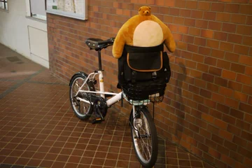画像 / Picture