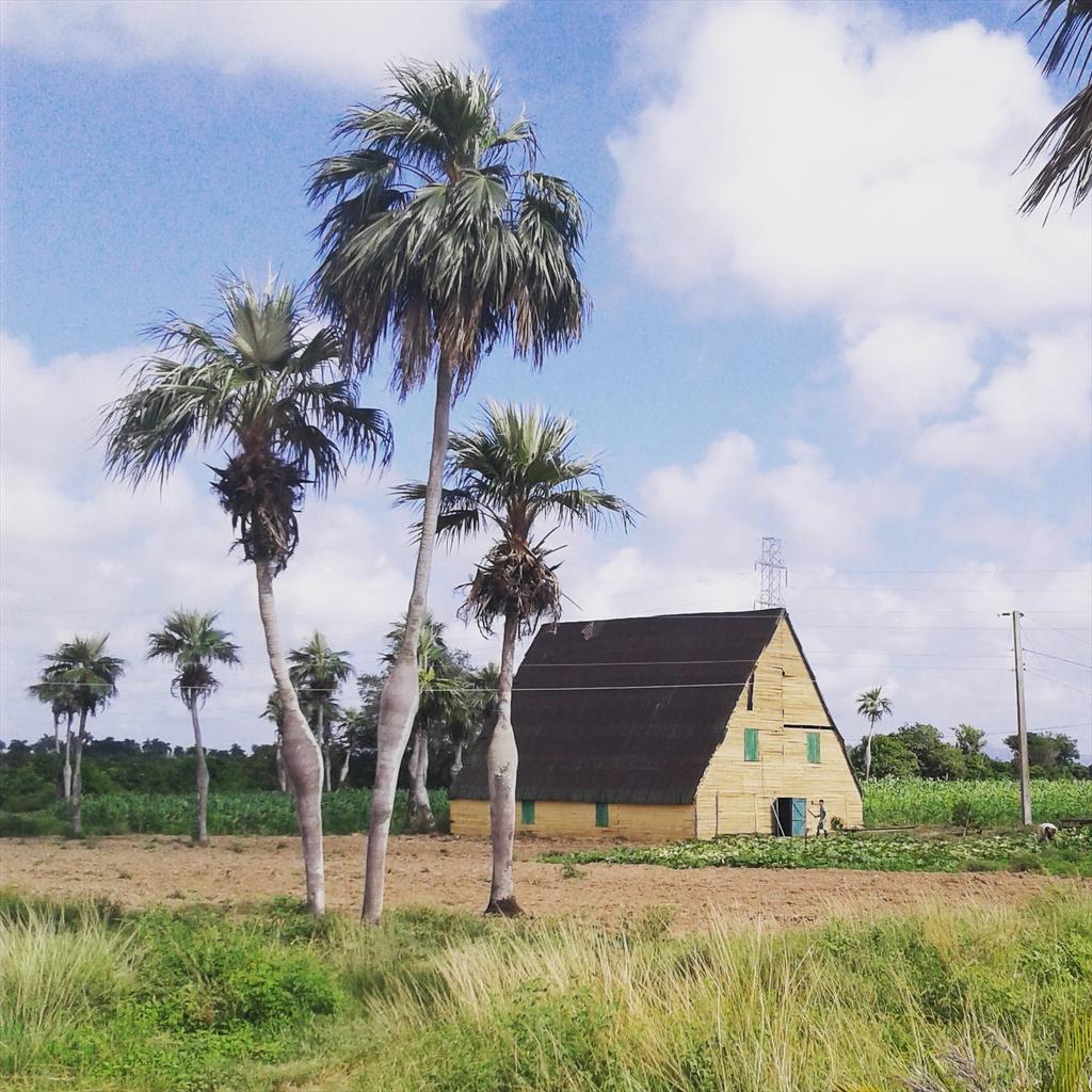 ImmerseCuba's tweet photo. In our way to #viñales #summer #vacations #Immersecuba #immersecubaexperiences https://t.co/TMMxHapn28
