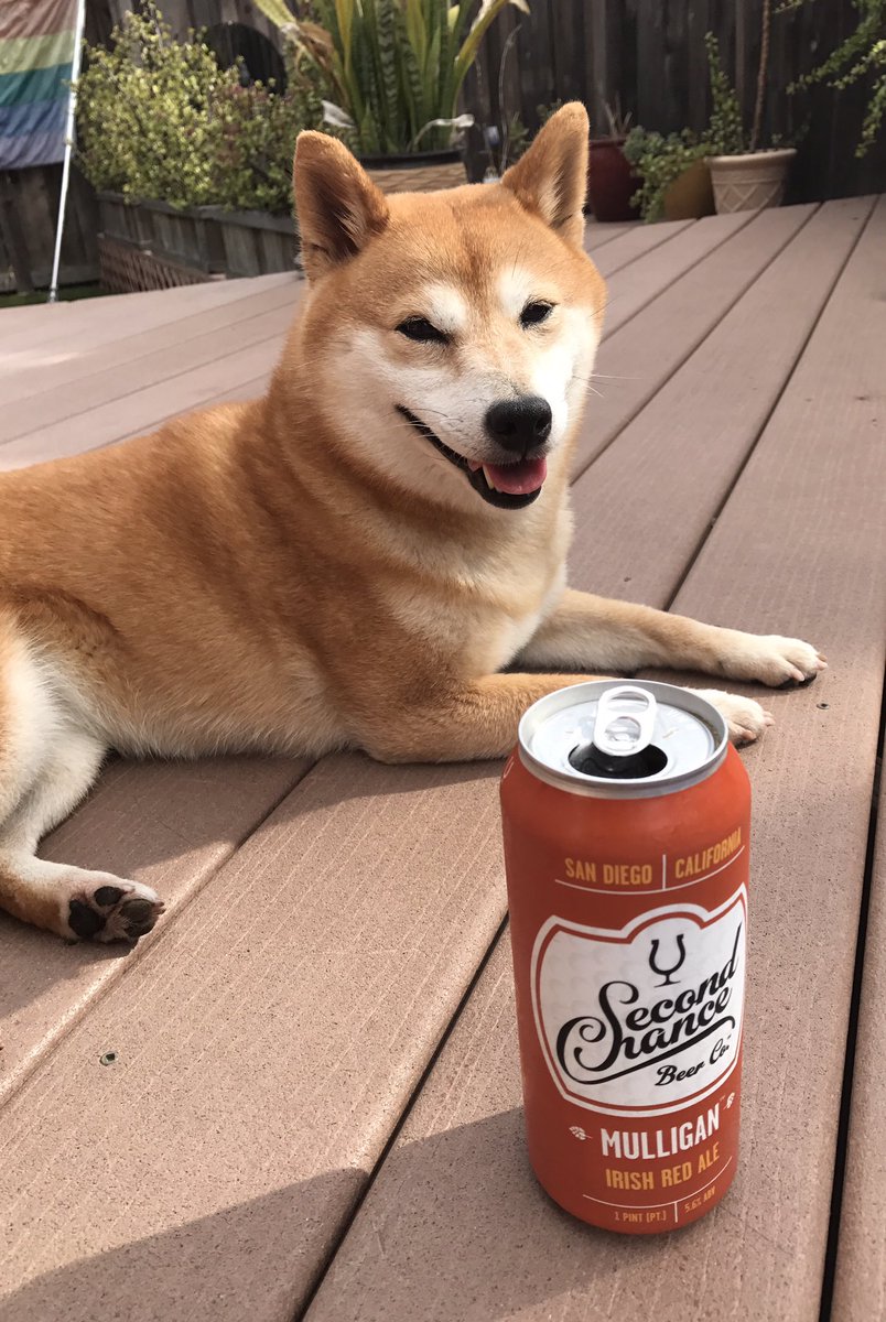 Two Beer Chicks tweet media