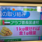 ダイエットするならアラブに行きたくなる？w金持ちが多い国のダイエットのご褒美がすごすぎるw