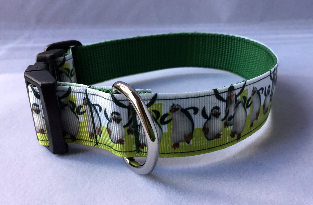 Dog collars #handmade funkydogcollars.co.uk