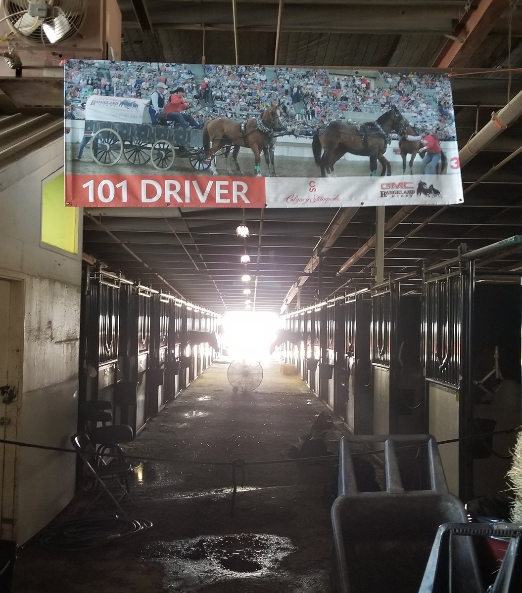 CS_NGC's tweet photo. #Bts for some driver 101 lessons pre-chuckwagons 🐴 #stampedeschool #stampede2017 #calgarystampede #chuckwagons #barntour #driver101 https://t.co/01OgvErFdd